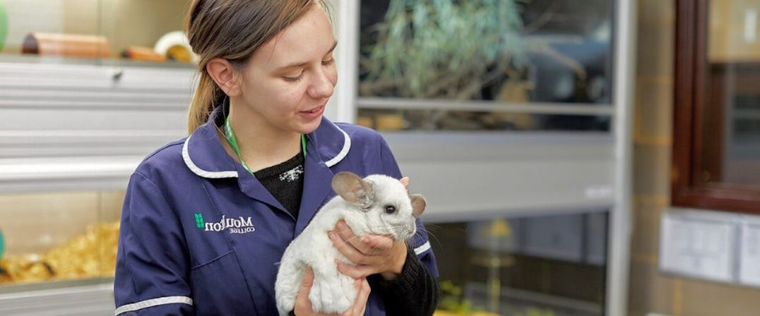 caring for animal welfare